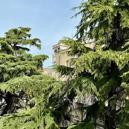 Jardin * Сплит